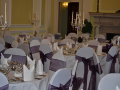 Plum Chair Sashes